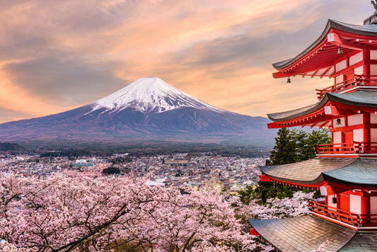 Mount Fuji in the Spring