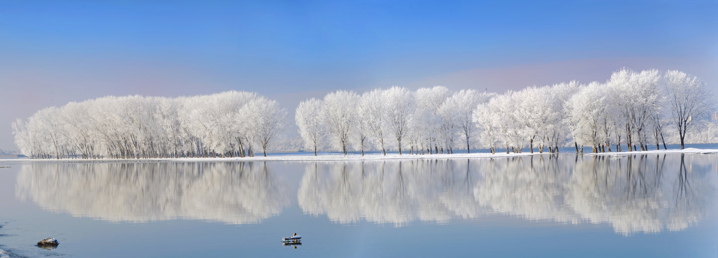 Winter Lake