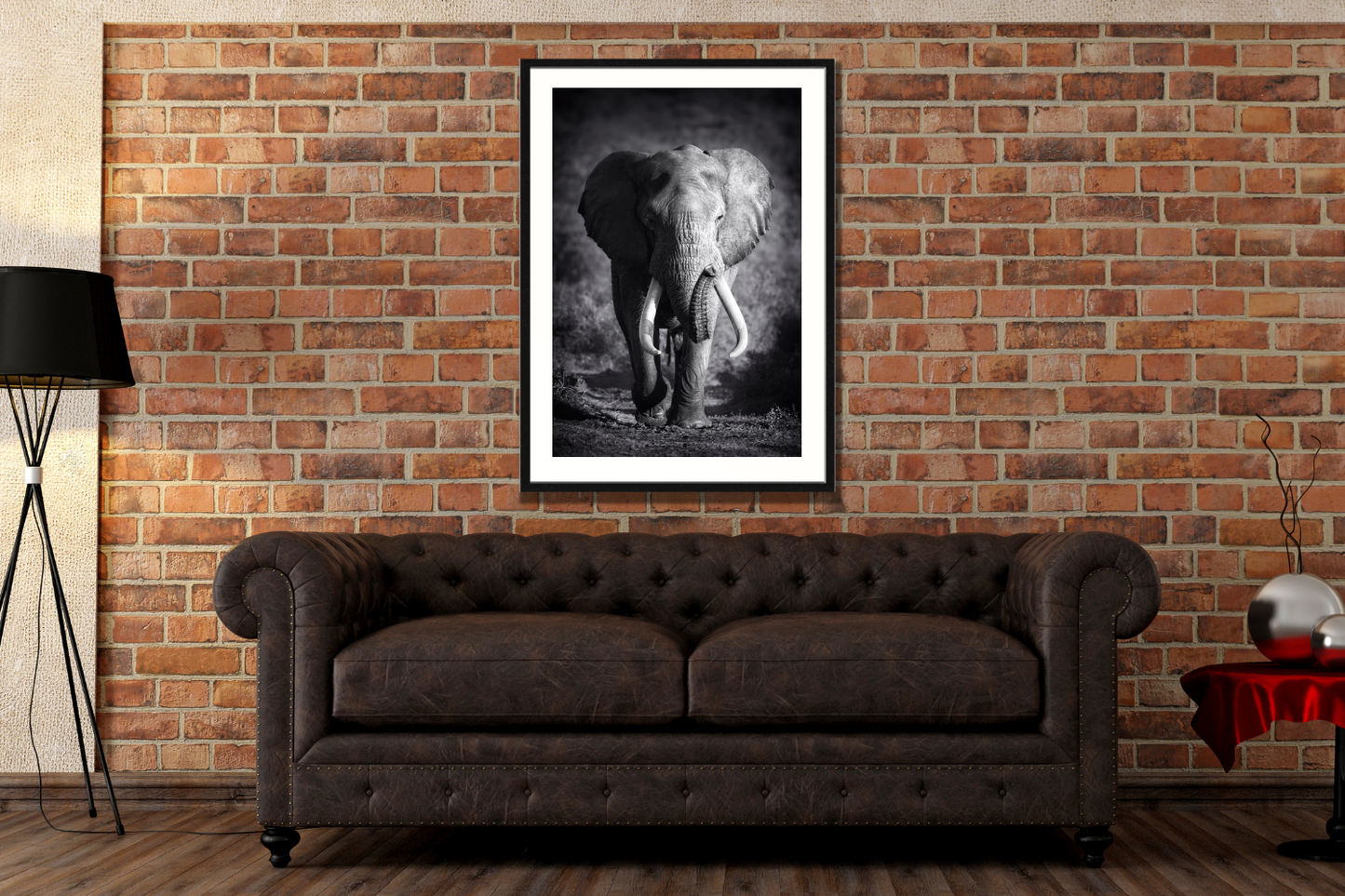 Elephant Framed Canvas