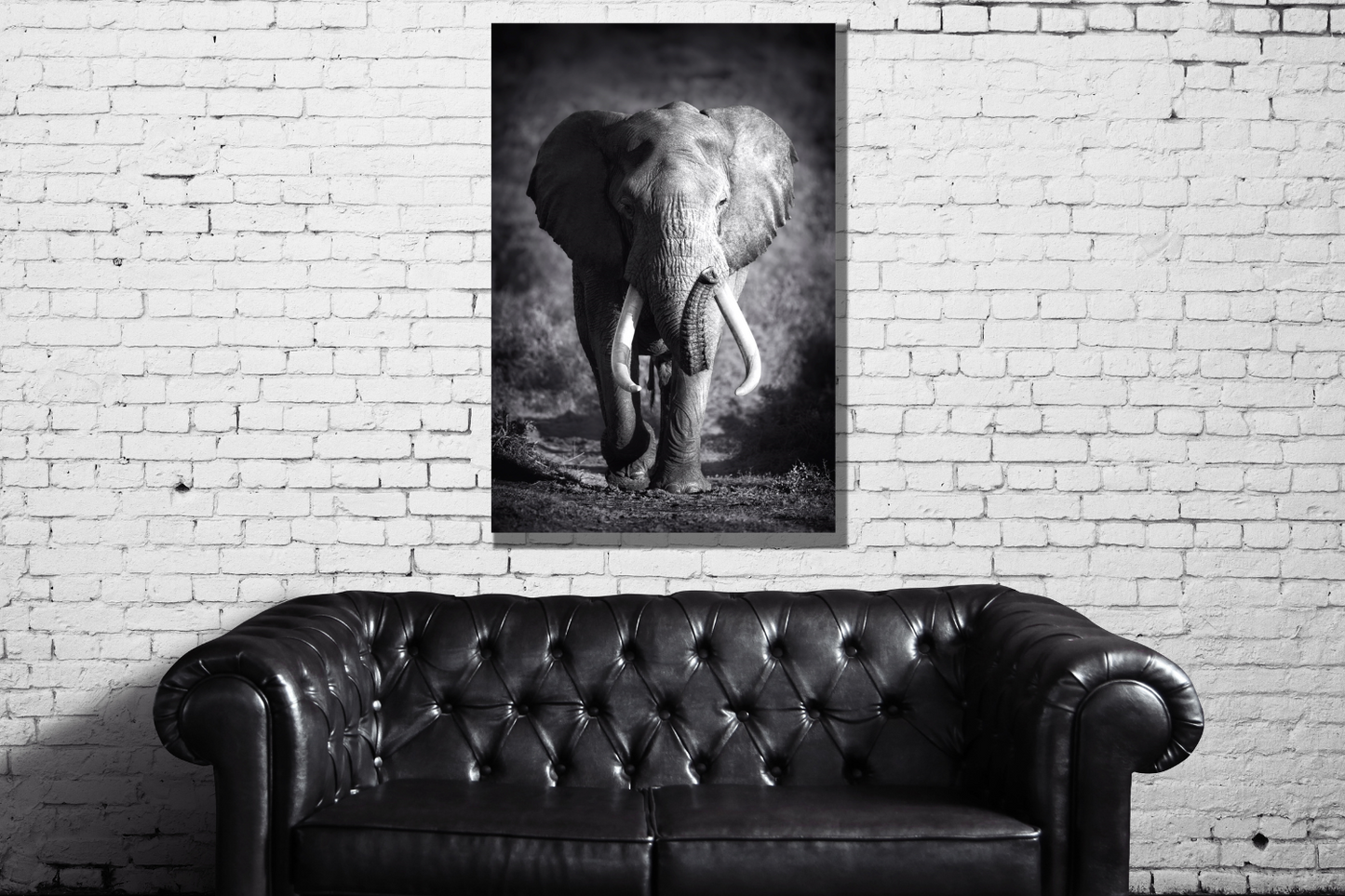 Elephant Photo Print