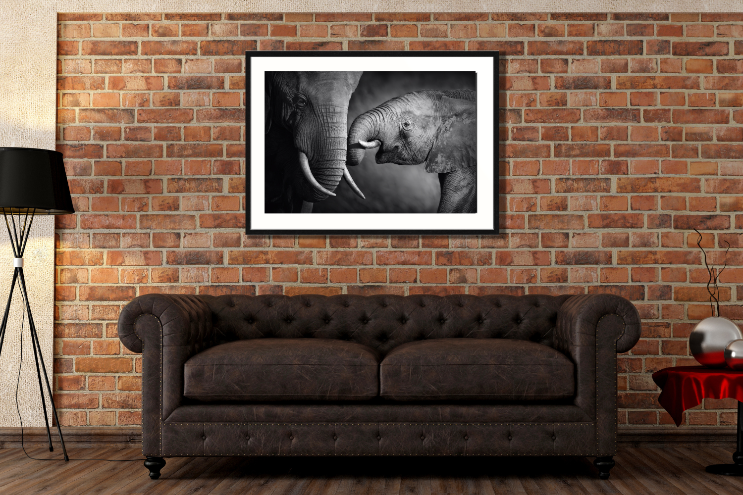 Baby elephant Framed Canvas Picture