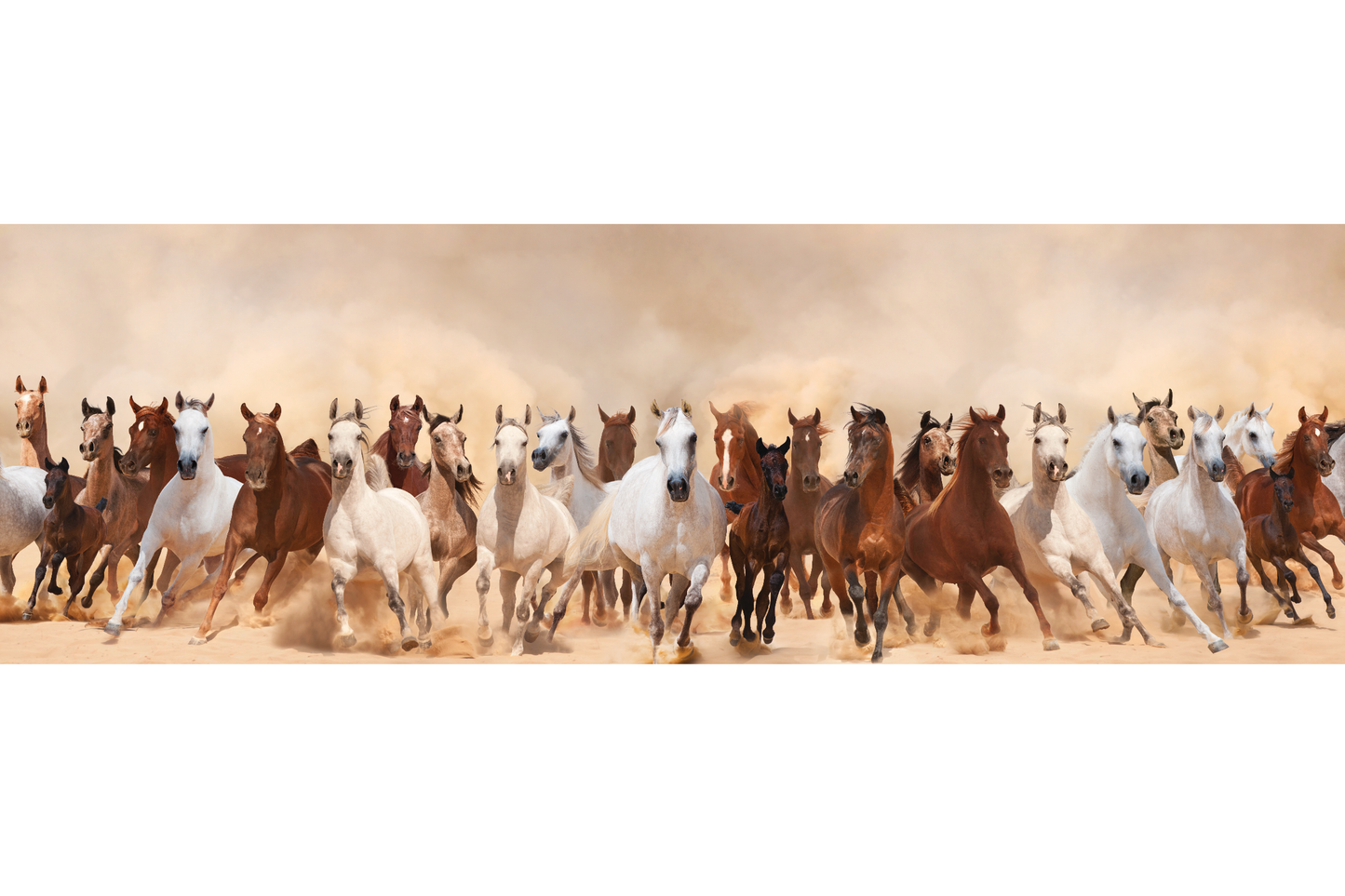 wild horses canvas wall art